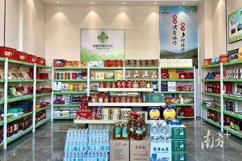 500多种农副产品 黄江首家供销社消费协作馆揭牌开馆